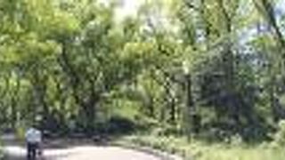 かなり広い公園