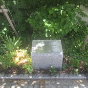 日米交流150周年記念植樹 ハナミズキ