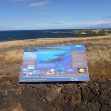 順路で見て回りました