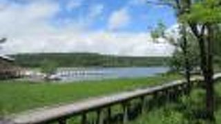 遊歩道が造られています