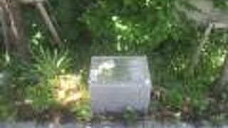 日米交流150周年記念植樹 ハナミズキ