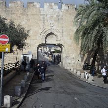 糞門（外側から）