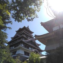 伏見桃山城を東に見た。