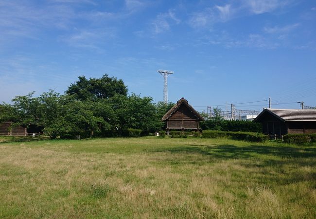 伊場遺跡公園 クチコミ アクセス 営業時間 浜松 フォートラベル 伊場遺跡公園 クチコミ アクセス 営業時間 浜松 フォートラベル