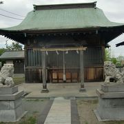 洲崎神社の神輿