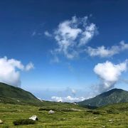 雲が眼下に広がる！午前中オススメ。