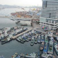 客室からの眺望