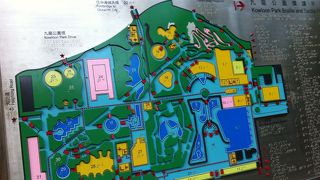 朝行くと太極拳やってる集団に会える。