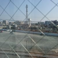 トレインビュー