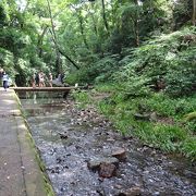 等々力渓谷を流れる一級河川