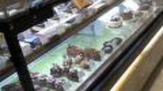 ちょうどテレビでやっていました