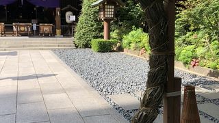 ミストが導入されています