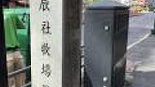 今は東京砂漠ですが