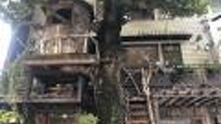 外観のツリーハウスが可愛い