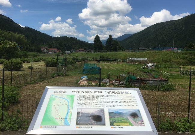 断層現場は観察館の向かい