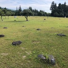 今は礎石が残るのみ