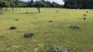 礎石が残るのみ