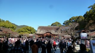 ご利益が大の神社です！