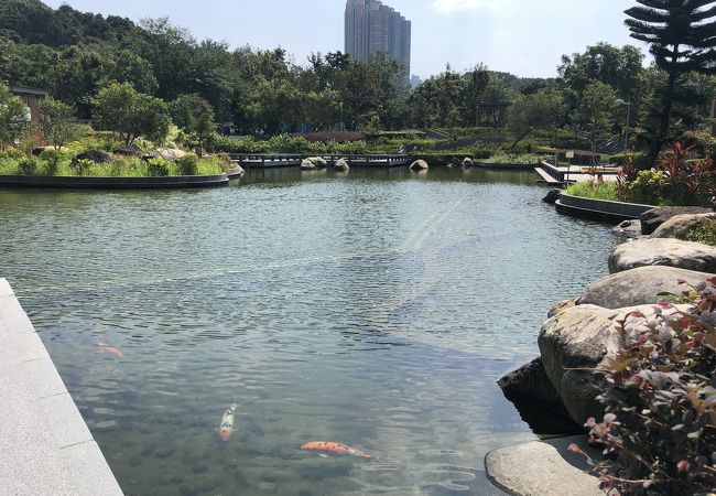 坑口文曲里公園