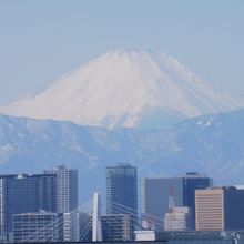 富士山