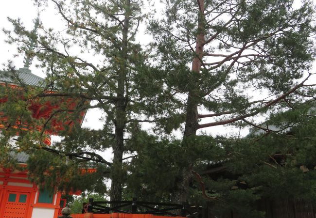 三鈷の松 クチコミ アクセス 営業時間 高野山周辺 フォートラベル 三鈷の松 クチコミ アクセス 営業時間 高野山周辺 フォートラベル
