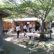 奈良　私の昼ご飯　ラッキー・ガーデン　（スリランカ料理）