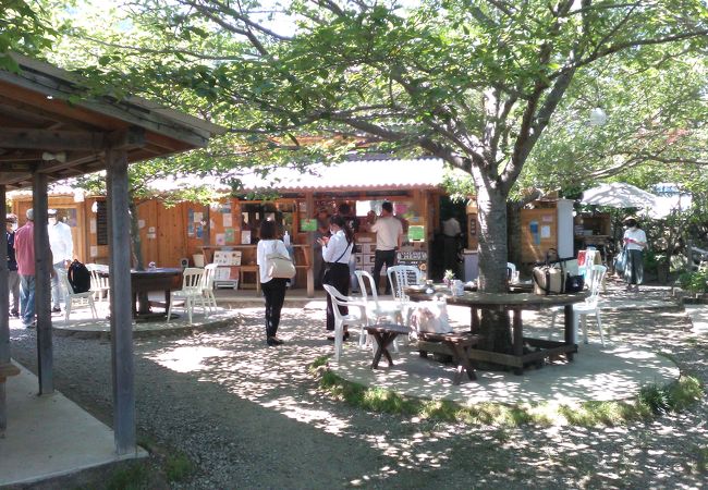 奈良　私の昼ご飯　ラッキー・ガーデン　（スリランカ料理）
