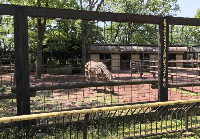 神奈川県の動物園 クチコミ人気ランキングtop17 フォートラベル