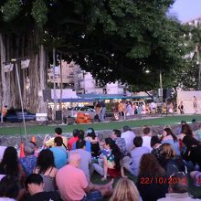 フラショーが見れます