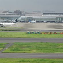 ガリバーズデッキからのＡ滑走路の眺め