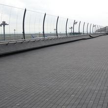 早朝はいろんな撮影ポイントを独り占め！