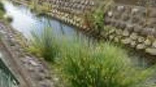 神奈川県最古の人口用水路