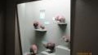 見ごたえある博物館