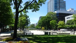 人通りが戻った大通公園！都市と自然の調和もいいですね！