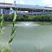 JR阪和線沿いの公園 シリーズ１