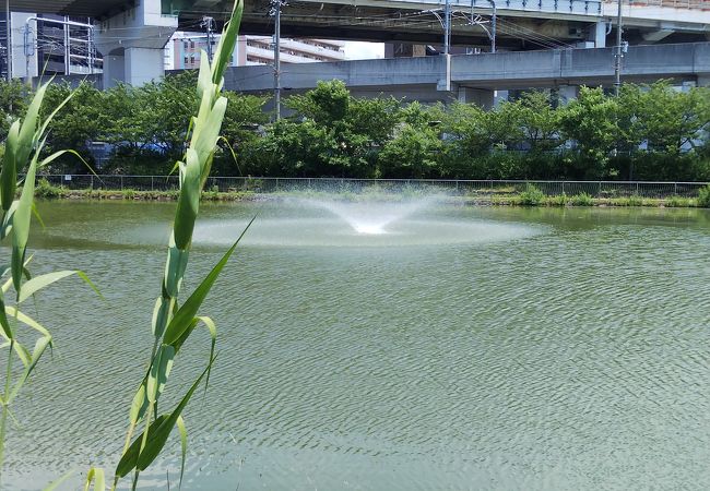 JR阪和線沿いの公園 シリーズ１