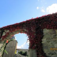 城門にからんだ紅葉した蔦も美しい。
