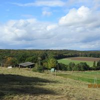 ザバブルク周辺の森