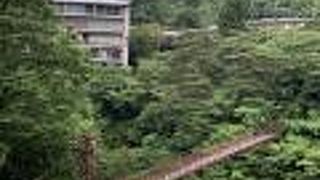 鬼怒川の吊り橋