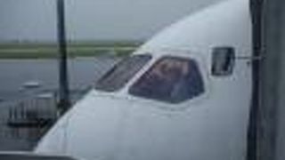 飛行機見物には晴雨拘わらずご機嫌なスポット