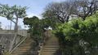 松山のオアシス、木々が綺麗、松山公園