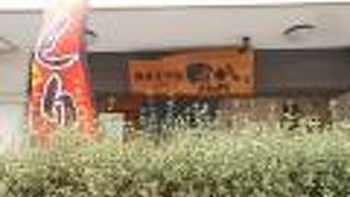 讃岐うどん四八