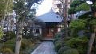 日本庭園のような雰囲気