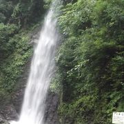 養老の滝