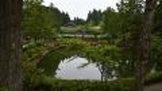 壇上伽藍の中にある蓮池