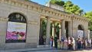 春の時期、緑豊かで沢山の花と出会える植物園