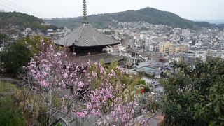 いろいろ楽しめる