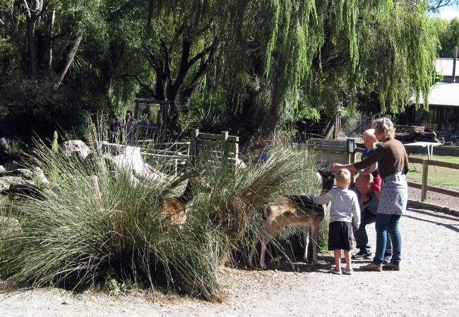 ウィロウバンク動物公園