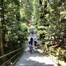 御社殿から芦ノ湖に向かって下りる石段は神様が通る道のよう