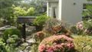 小規模ながら見事な池泉回遊式の庭園がある